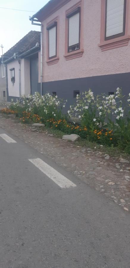 Casa Maior Villa Sacel  Buitenkant foto